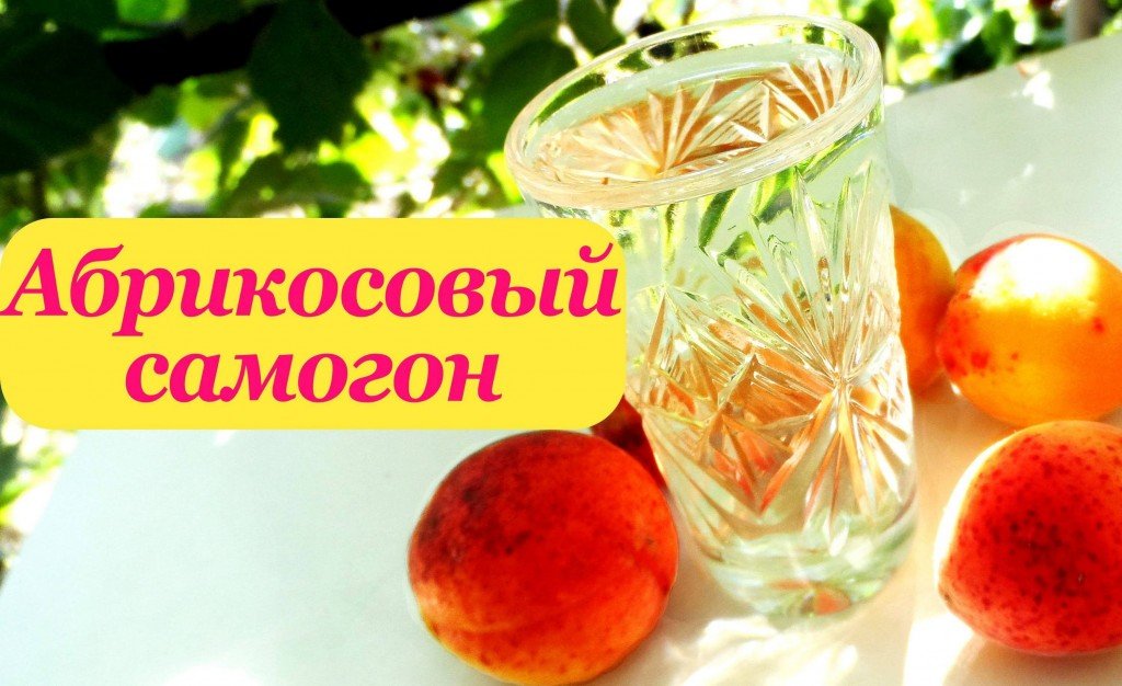 Самогон из абрикосов в домашних условиях простой Самогон из абрикосов в домашних условиях простой