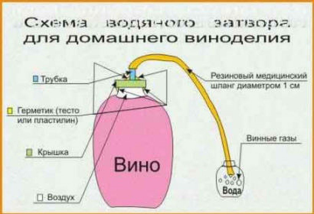 Самодельное вино из яблока Самодельное вино из яблока