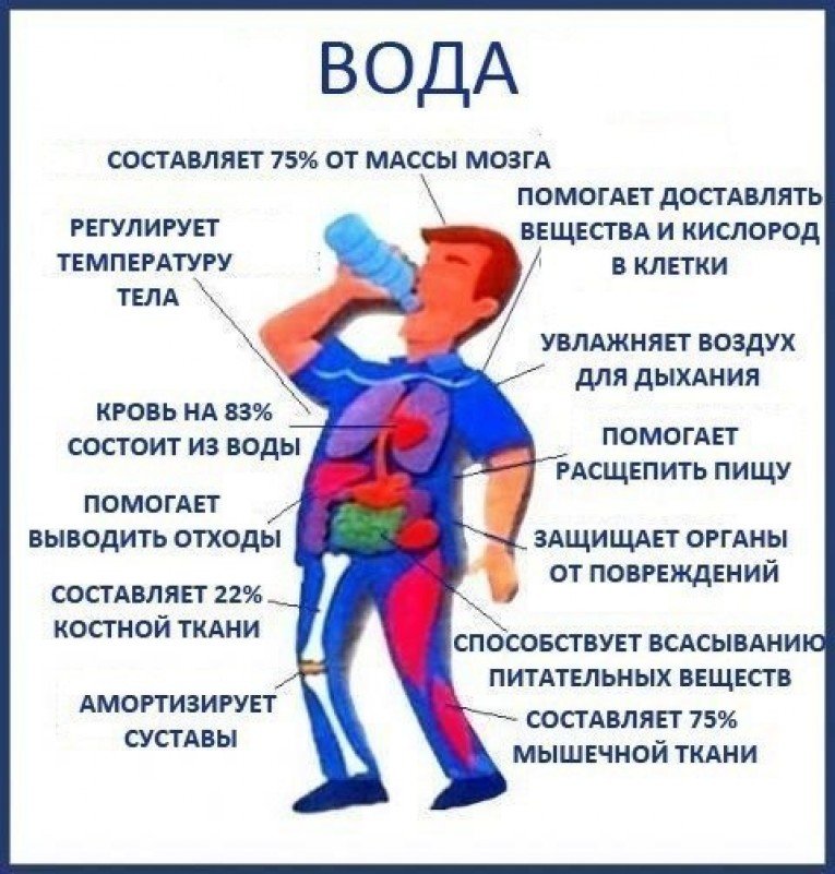 Вода выходит из организма почему 188