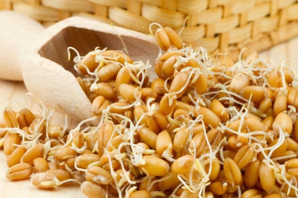 Блюда из пророщенной пшеницы Рецепты для похудения