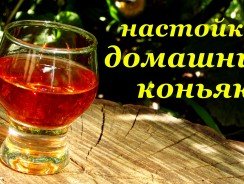 Коньяк из самогона, лучшие рецепты