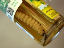 Мескаль – с гусеницей мексиканский напиток