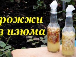 Закваска для вина на натуральных ягодах