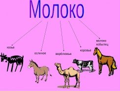 Ценность молока разных животных и его лечебное действие