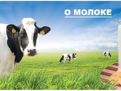 Молоко состав, польза и мифы, за и против.