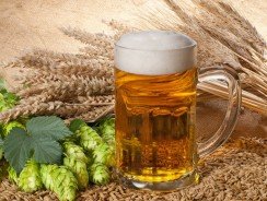 Рецепты приготовления домашнего пива