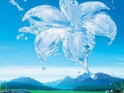 Какую воду надо пить