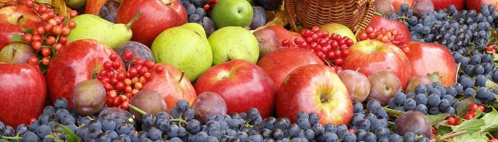 фрукты и ягоды для виноделия