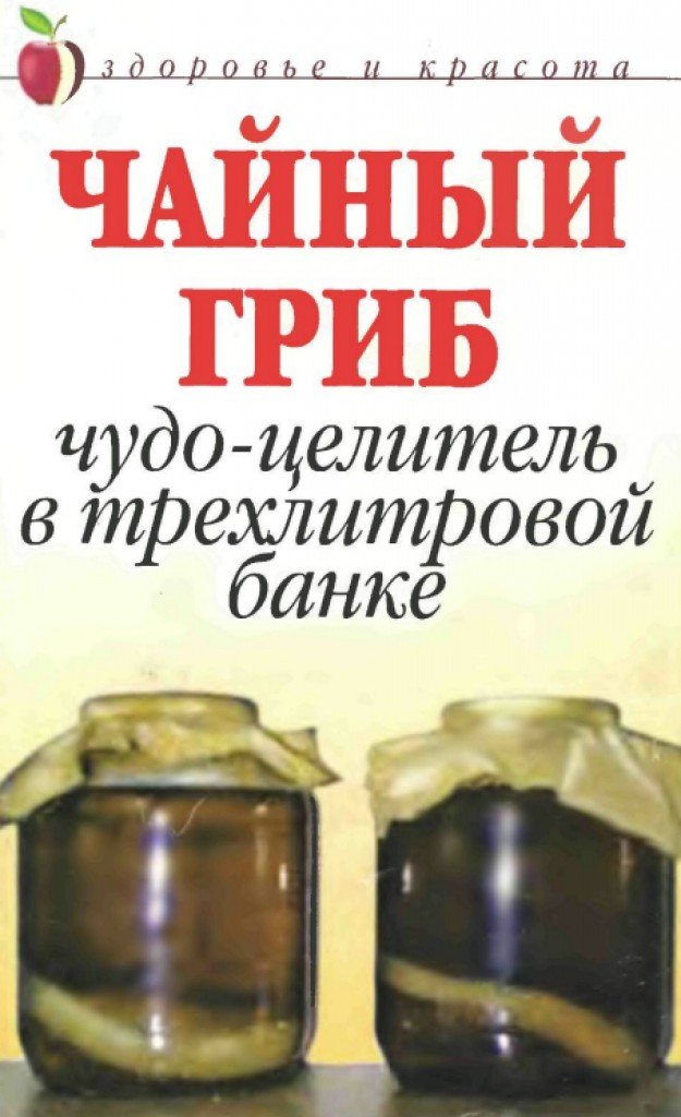 Напиток чайного гриба. Настой из чайного гриба также для лечения