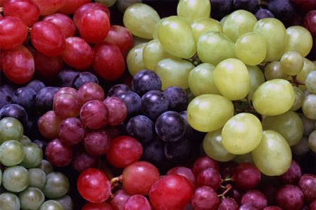 сорта чилийского винограда