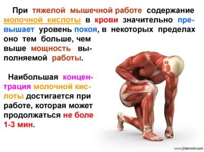 Молочная кислота