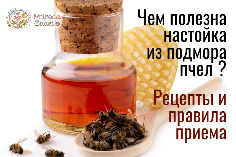 Настойка подмора пчелиная. - Напитки мира
