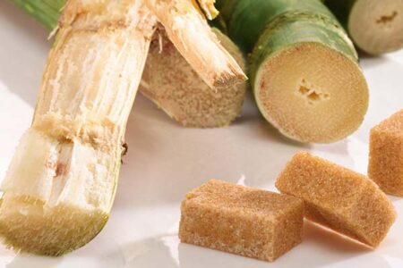 Тростниковый сахар - свойства и применение