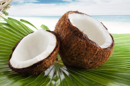 Кокосовый орех - характеристики - здоровье и питательные свойства