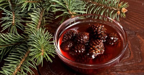 Сосновый сироп - свойства, применение, рецепт приготовления соснового сиропа