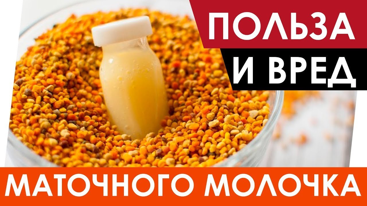 Маточное молочко. Польза и вред. - Напитки мира