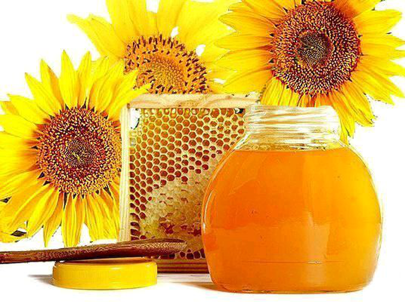 Мед подсолнечный органический - Напитки мира