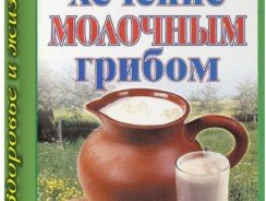 Кефирный гриб полезные свойства