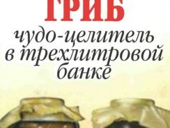 Напиток из чайного гриба