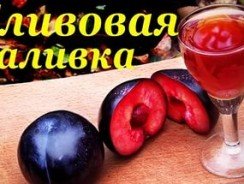 Наливка из слив пара рецептов