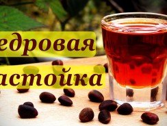 Кедровка – настойка на кедровых орешках