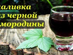 Рецепты и приготовления наливок из смородины