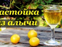 Наливки из алычи правильный рецепт